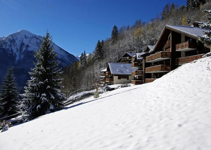 Ancolie - Les Hauts De Planchamp - 2 Pieces Pour 5 Personnes Mae-4882 * La Plagne